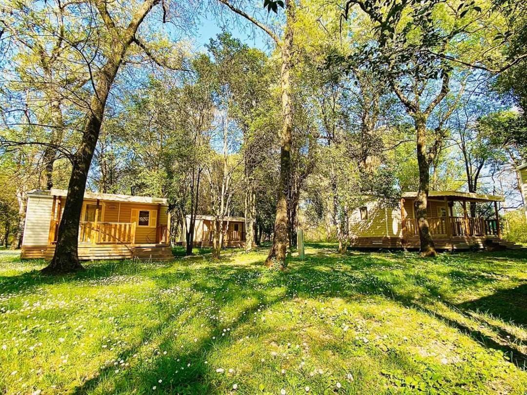 Camping Du Lion Bourg-Saint-Andeol Ngoại thất bức ảnh