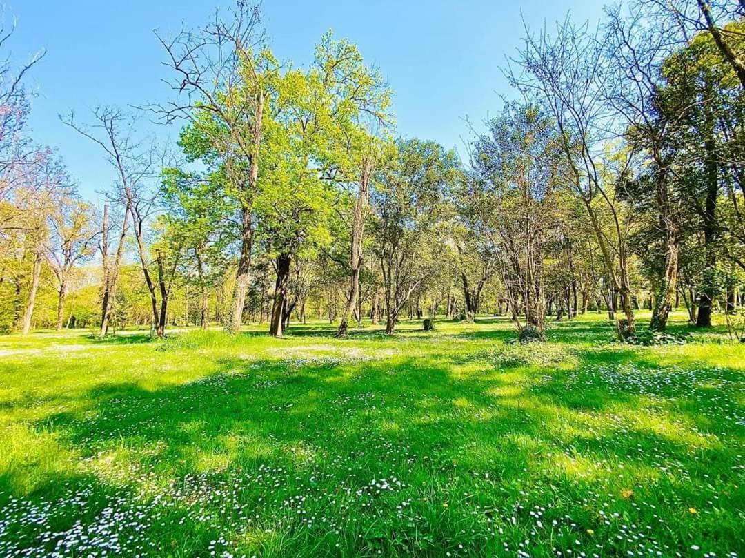 Camping Du Lion Bourg-Saint-Andeol Ngoại thất bức ảnh